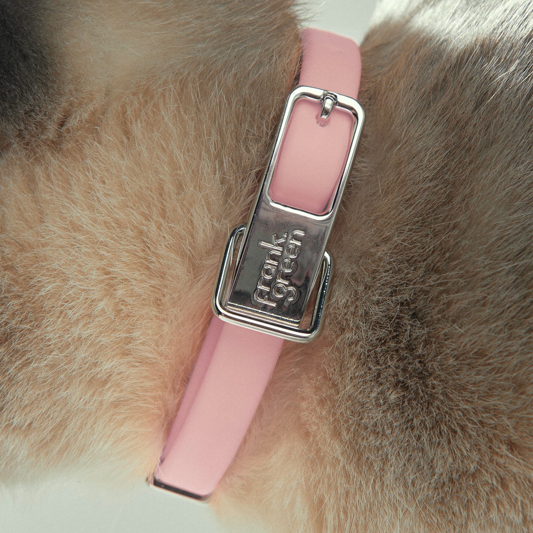 Personalized Small Pet ID Tag - Custom Engraved Name & Phone Number for Dogs & Cats - Perfect for Collars & Travel Safety