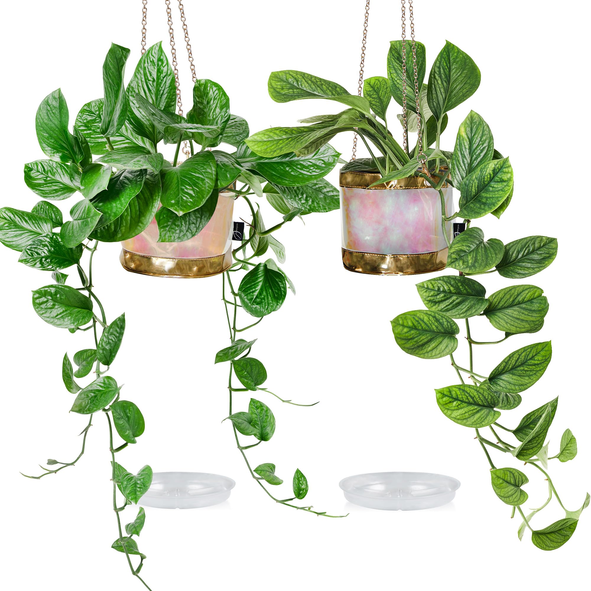 2 Pack Hanging Plant Baskets with 2 Plant Saucers - Indoor Plant Hangers with 2 Hooks & Chains - Decorative Hanging Storage Baskets for Home - Holographic Gold Finish - Perfect for Living Room, Bedroom, or Balcony Decor