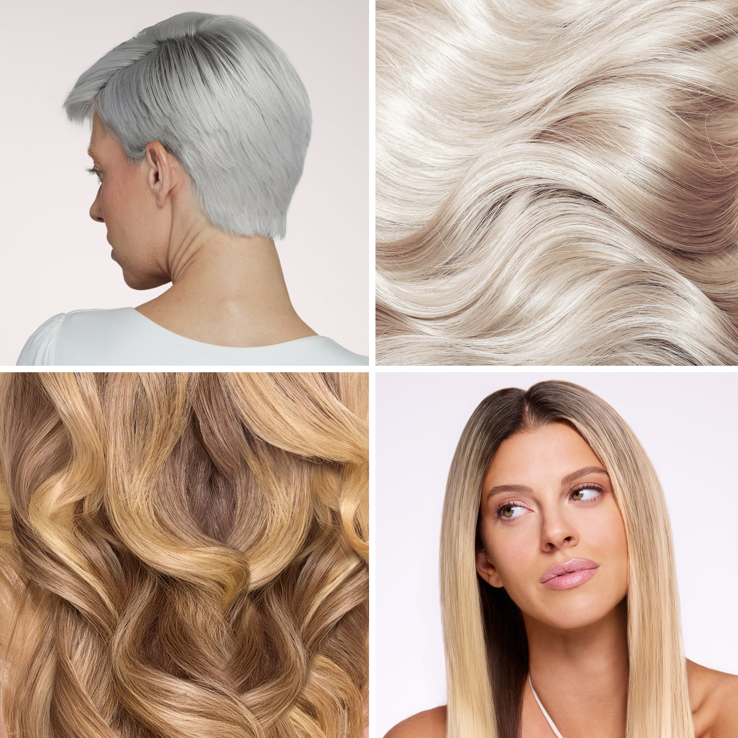 Intense Violet Shampoo for Blonde & Gray Hair - Toning Purple Shampoo to Neutralize Brassy & Yellow Tones - Perfect for Color-Treated & Bleached Hair at Home or Salon