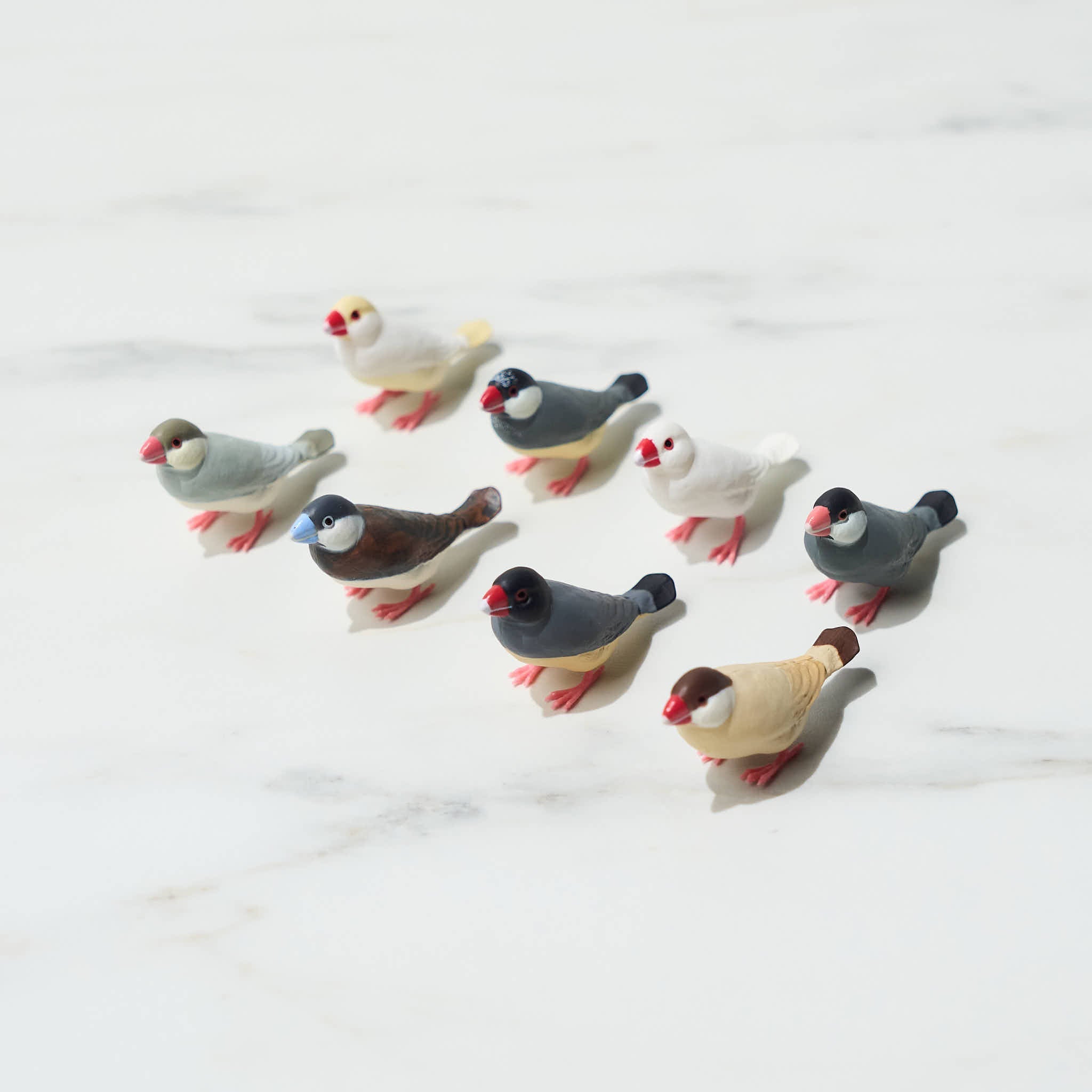 Java Sparrow Vol. 5 Gacha Capsule Toy - Collectible Japanese Kawaii Bird Figure for Anime Fans & Gacha Lovers - Perfect for Display, Gifts, and Anime Collections