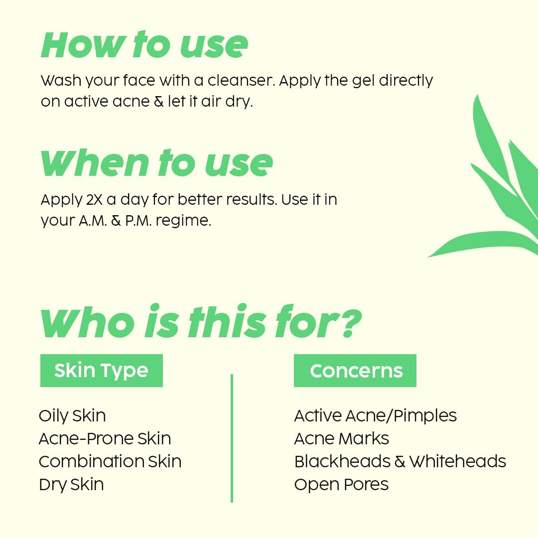 PLIX The Plant Fix Jamun Acne Spot Corrector Gel - Reduces Active Acne, Controls Oil & Soothes Inflammation | Day & Night Treatment for Men & Women | 15g | Perfect for Travel & On-the-Go Skincare