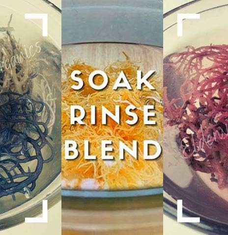 Organic Wildcrafted Sea Moss - Raw, Non-GMO, Sundried Rainbow Variety - Makes 24oz of Nutrient-Rich Gel for Smoothies, Skincare & Wellness Boost