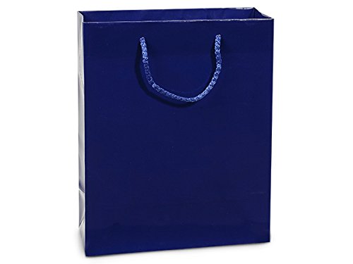 Premium Gloss Laminated Gift Bags - 8x4x10 Inches Royal Gloss Party Favor Bags (Pack of 100) - Elegant Packaging for Weddings, Birthdays & Corporate Events - Wraps-GTCBRO