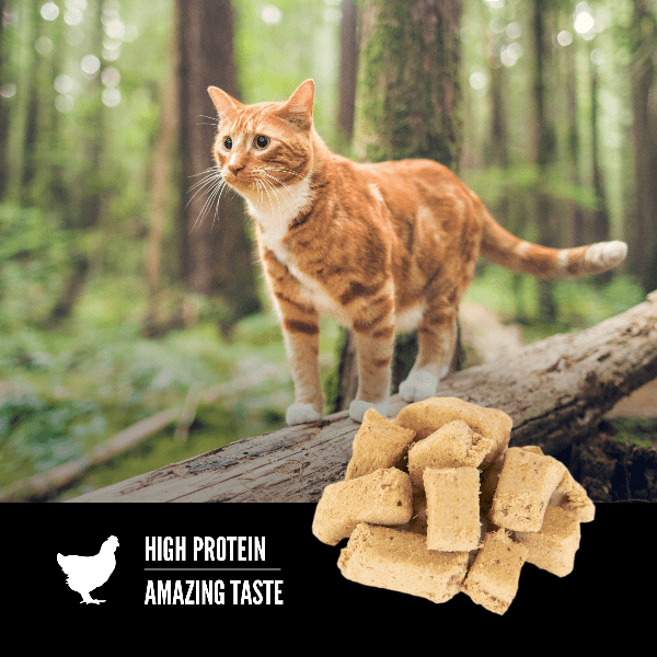 Orijen Original Freeze-Dried Cat Treats - Grain-Free, High-Protein Cat Snacks for Training & Rewards - Perfect for Indoor Cats & Senior Felines