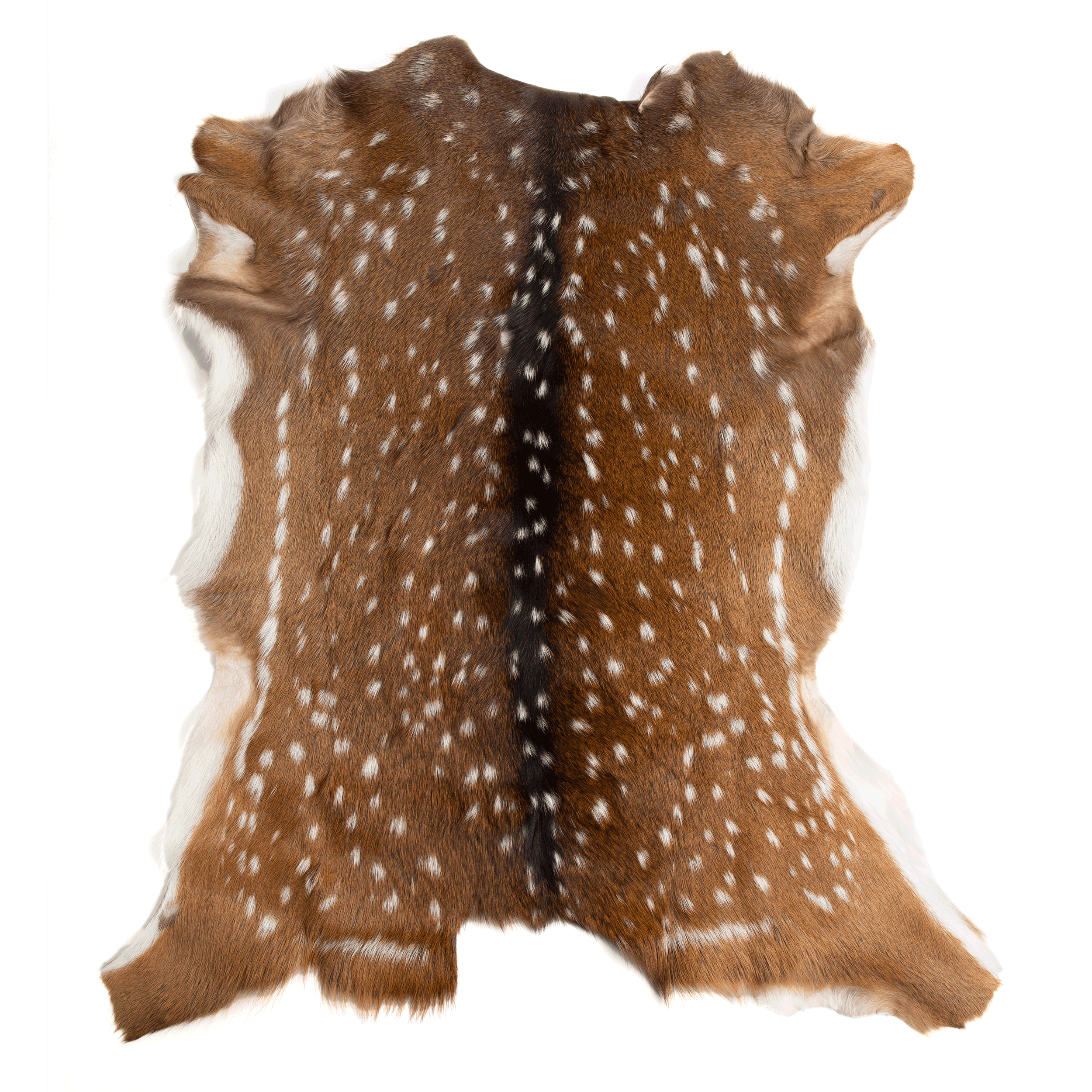 Premium Axis Deerhide Leather - Genuine, Durable & Soft for DIY Crafts, Upholstery & Fashion Accessories - Perfect for Handmade Bags, Wallets & Home Decor