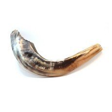 Authentic Kosher Shofar Ram Horn - 16 Inch Natural Blowing Instrument for Jewish Holidays & Religious Ceremonies