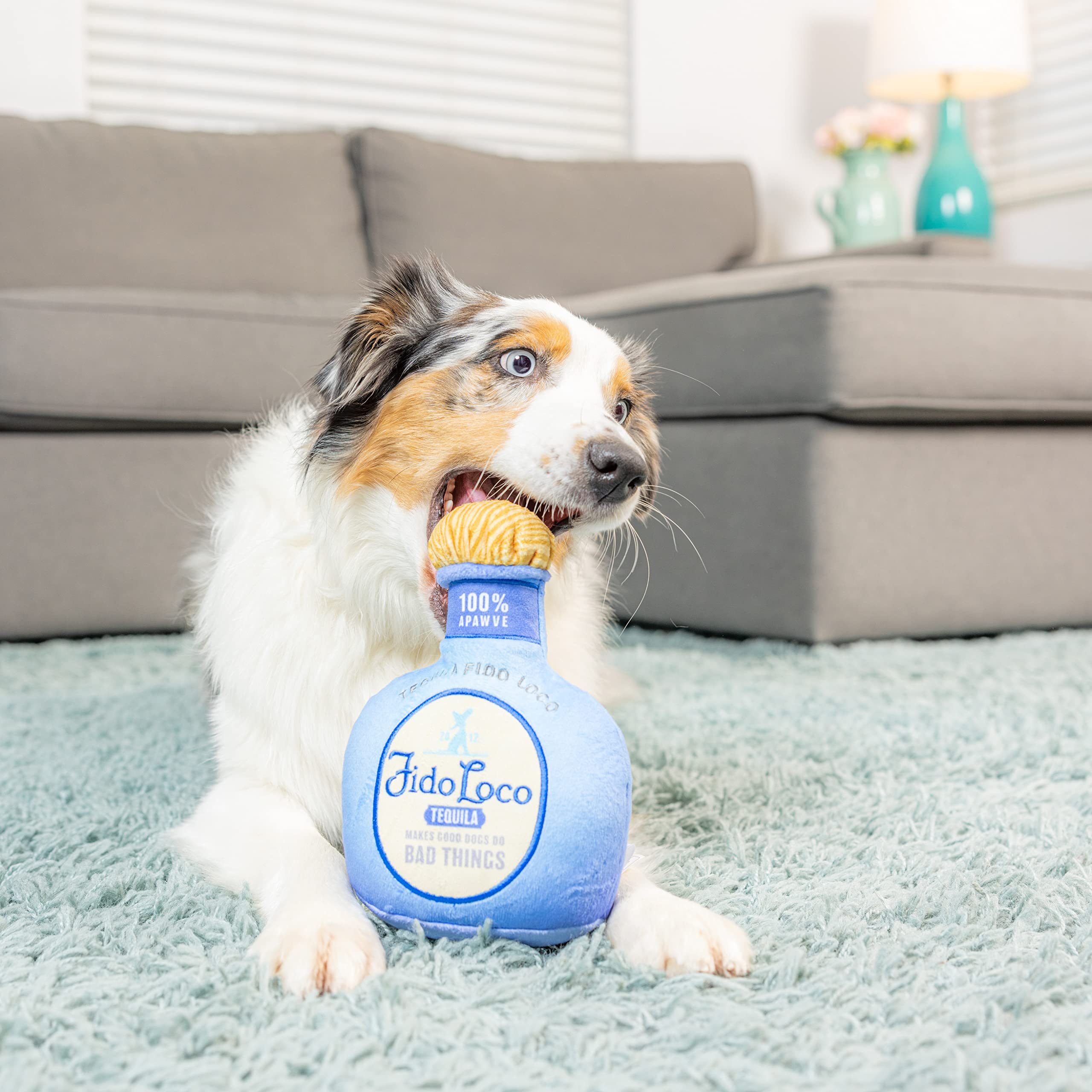 Huxley & Kent Squeaky Plush Dog Toy for Large Dogs - Funny & Durable Power Plush with Squeaker - Perfect for Playtime, Training & Gifts (Fido Loco Tequila Design) - Safe & Entertaining for Your Pet