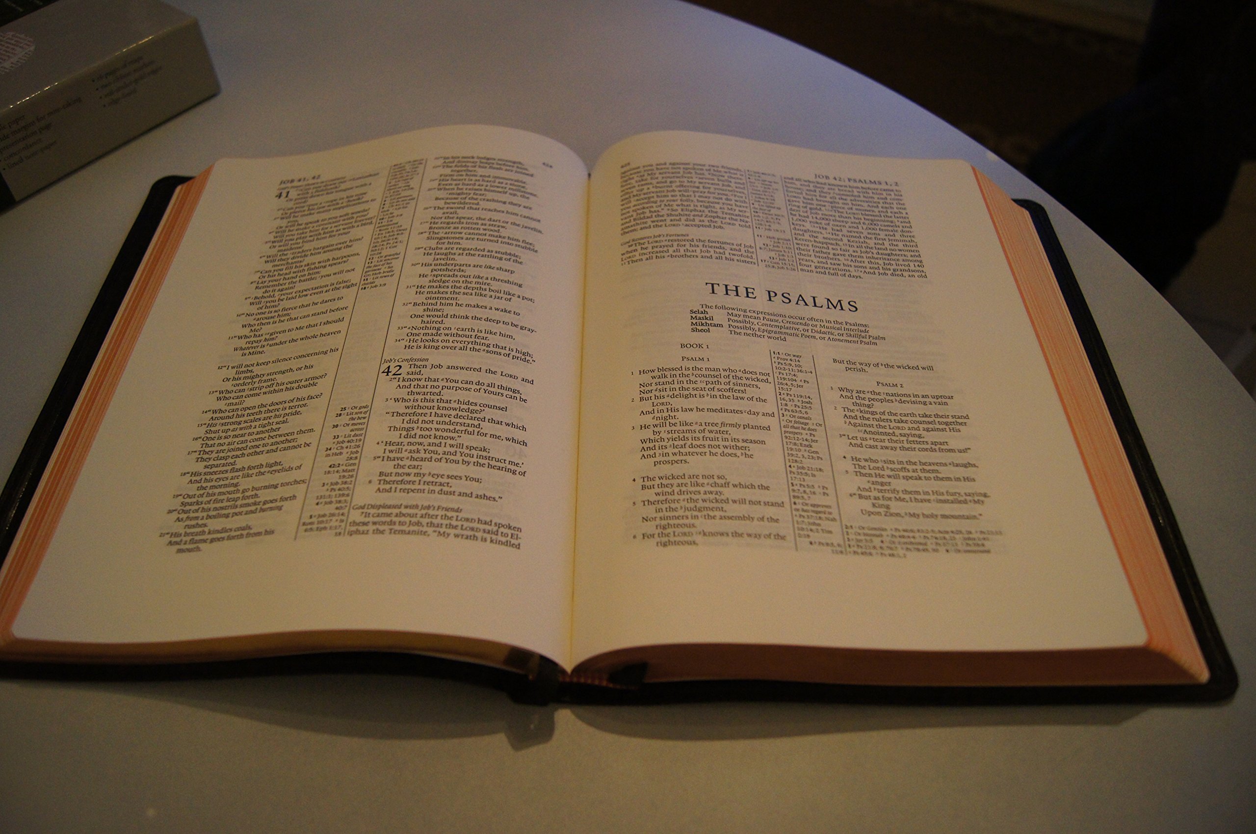 NASB Aquila Wide Margin Reference Bible - Black Goatskin Leather Edge-lined, Red-letter Text (NS746:XRME) | Premium Study Bible for Pastors, Scholars & Bible Students - Ideal for Sermon Preparation & Theological Research