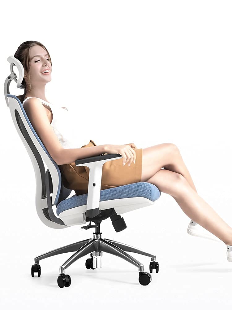 Ergonomic Home Office Chair - High Back Mesh Computer Desk Chair with Adjustable Height, Lumbar Support & Thick Seat Cushion - Executive Swivel Task Chair for Conference Room, Gaming, and Long Work Sessions