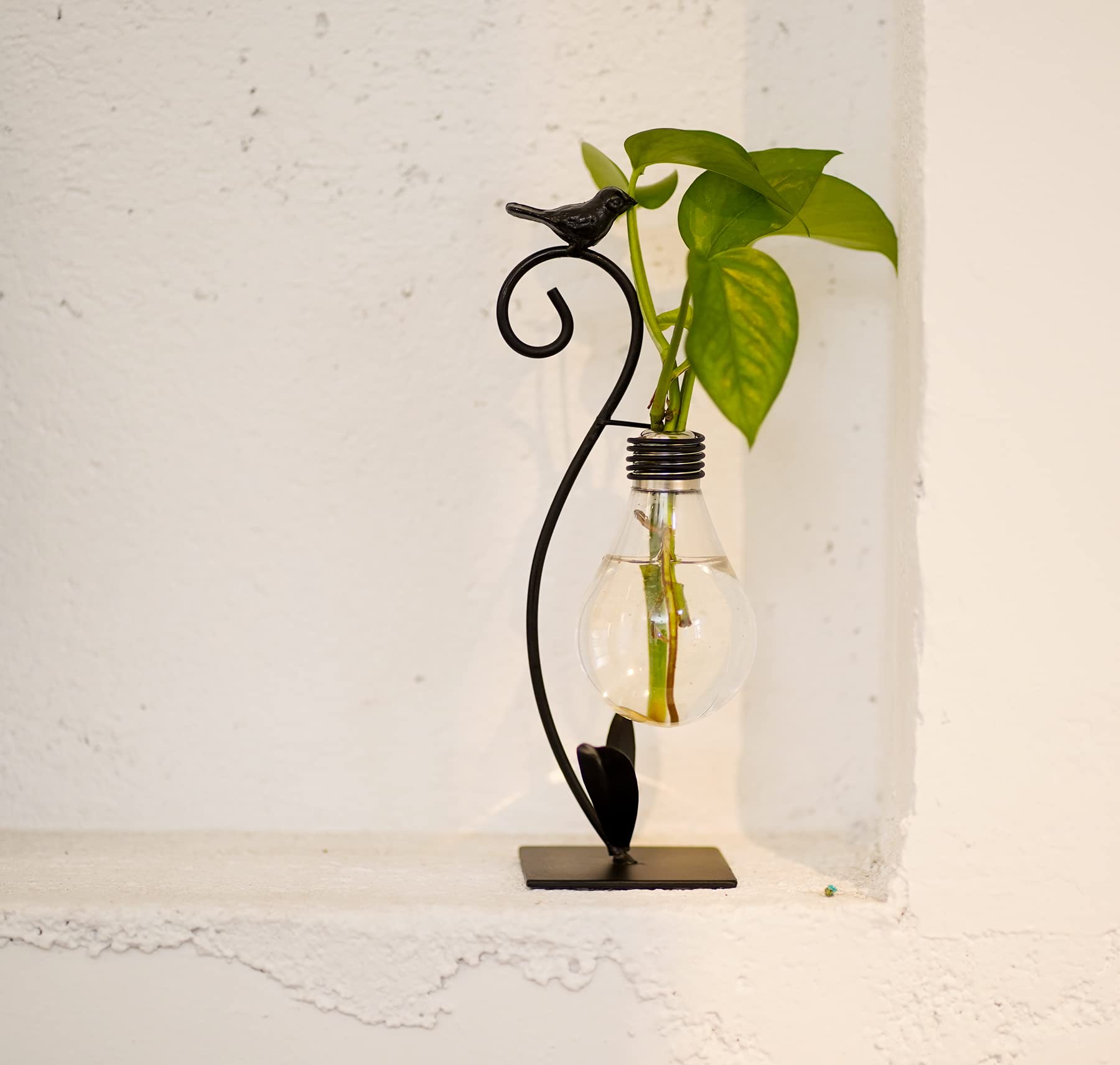 Modern Plant Terrarium & Hydroponic Vase - Desktop Planter Propagation Station for Home & Office Decor | Creative Bird-Shaped Plant Holder Stand | Perfect Gardening Gift for Plant Lovers (Ideal for Indoor Plants, Succulents, Air Plants & Home Decor)