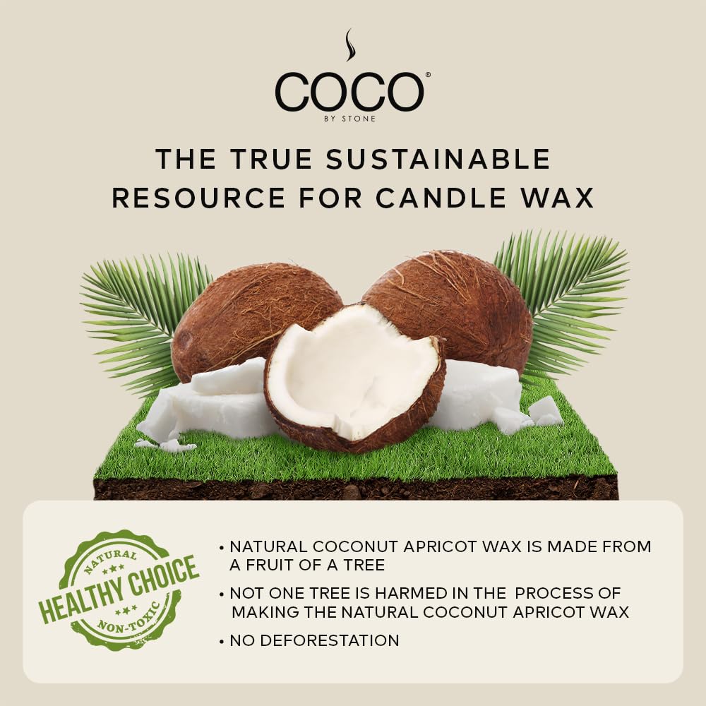6.5oz Coconut Apricot Wax Candle - Vegan, Cruelty-Free & Clean Burning Home Fragrance with 1 Wick | Amber Scented Candle for Relaxation, Meditation & Home Decor | Hand Poured in USA