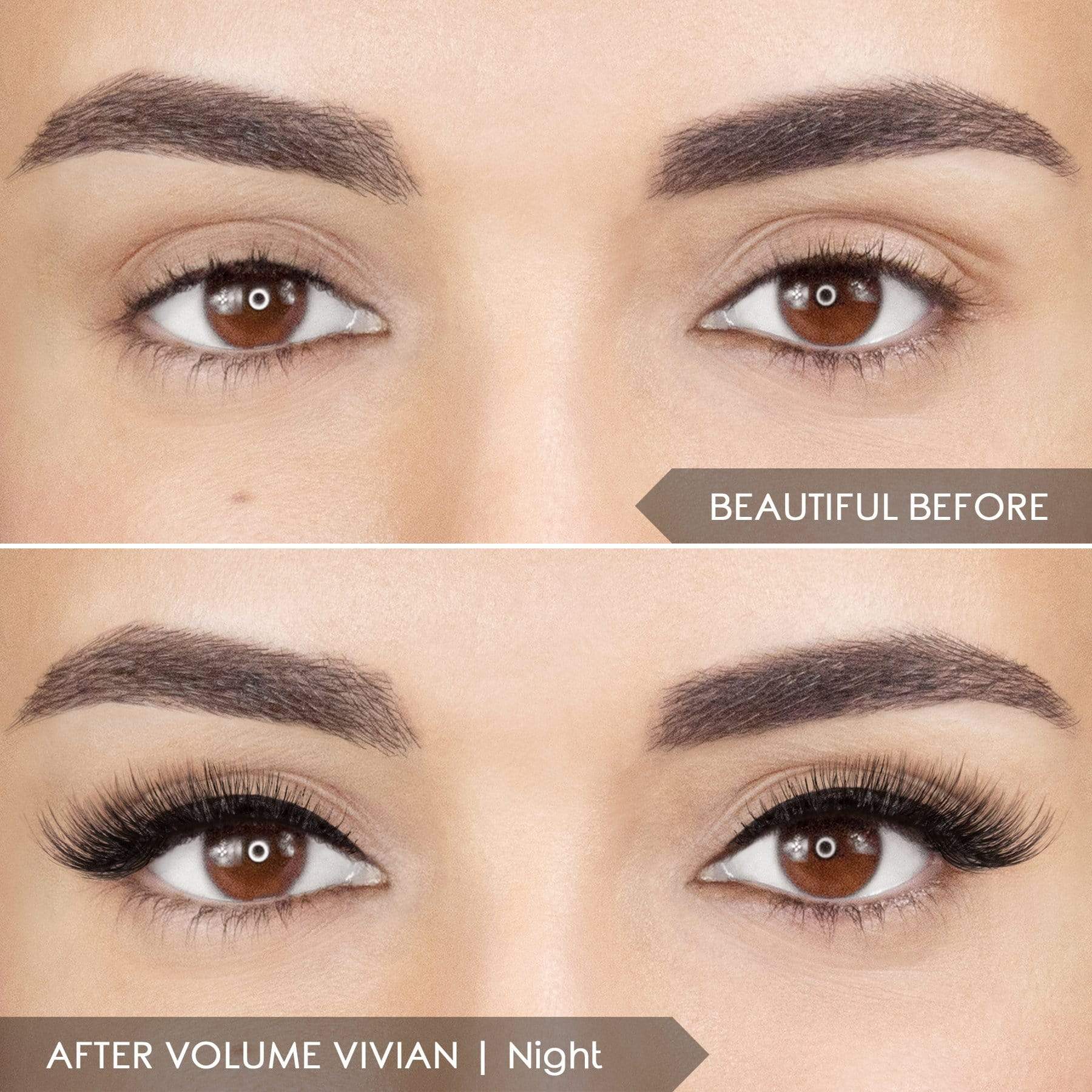 LIMIT 2 - Magnomatic Magnetic Eyeliner & False Lash Kit with Bonus Natural Taylor Lashes | Waterproof Eyeliner for Long-Lasting Wear | Perfect for Parties, Weddings & Special Occasions