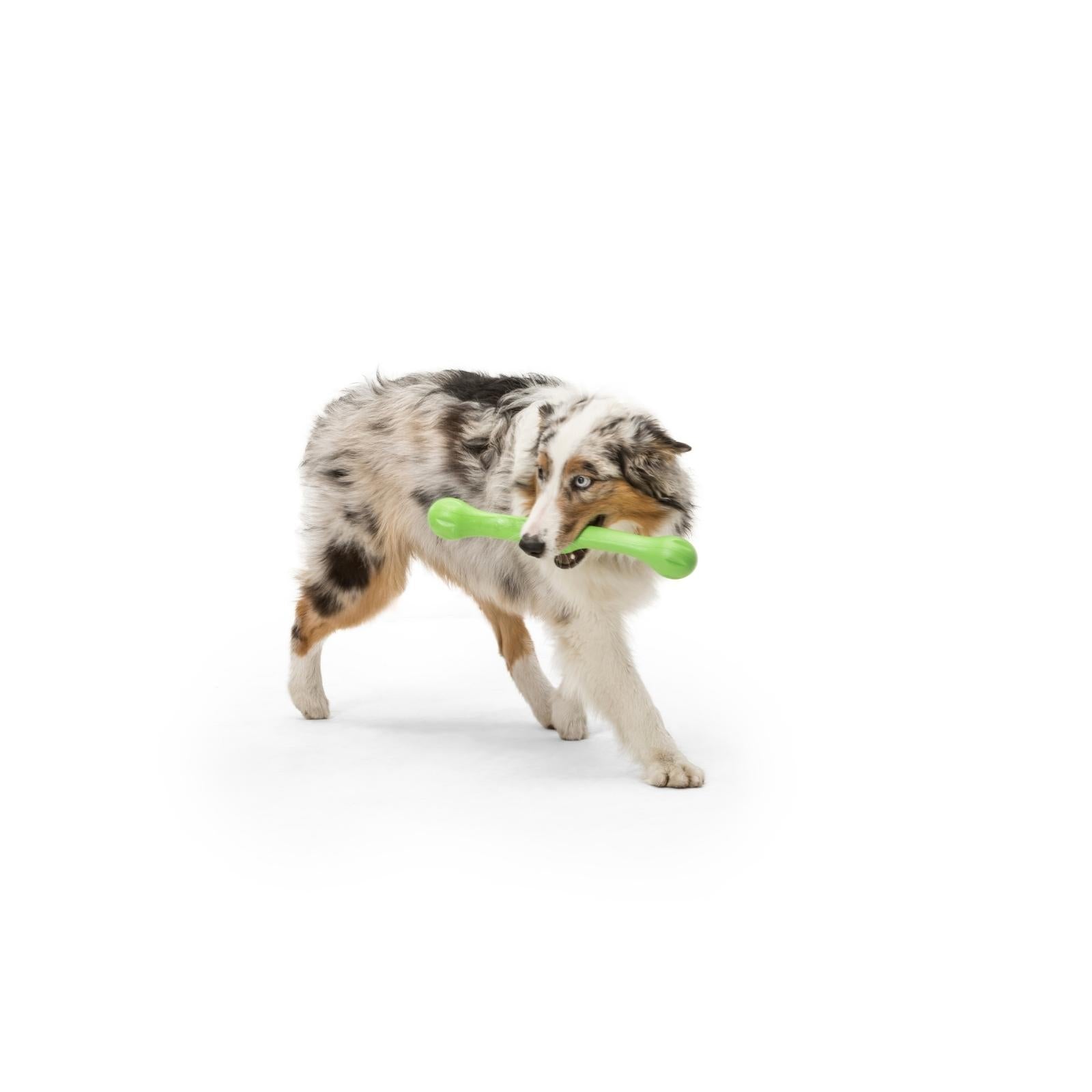 ZWIG by West Paw® Orange Soft Dog Chew Toy - Durable & Safe for Aggressive Chewers, Perfect for Playtime & Training