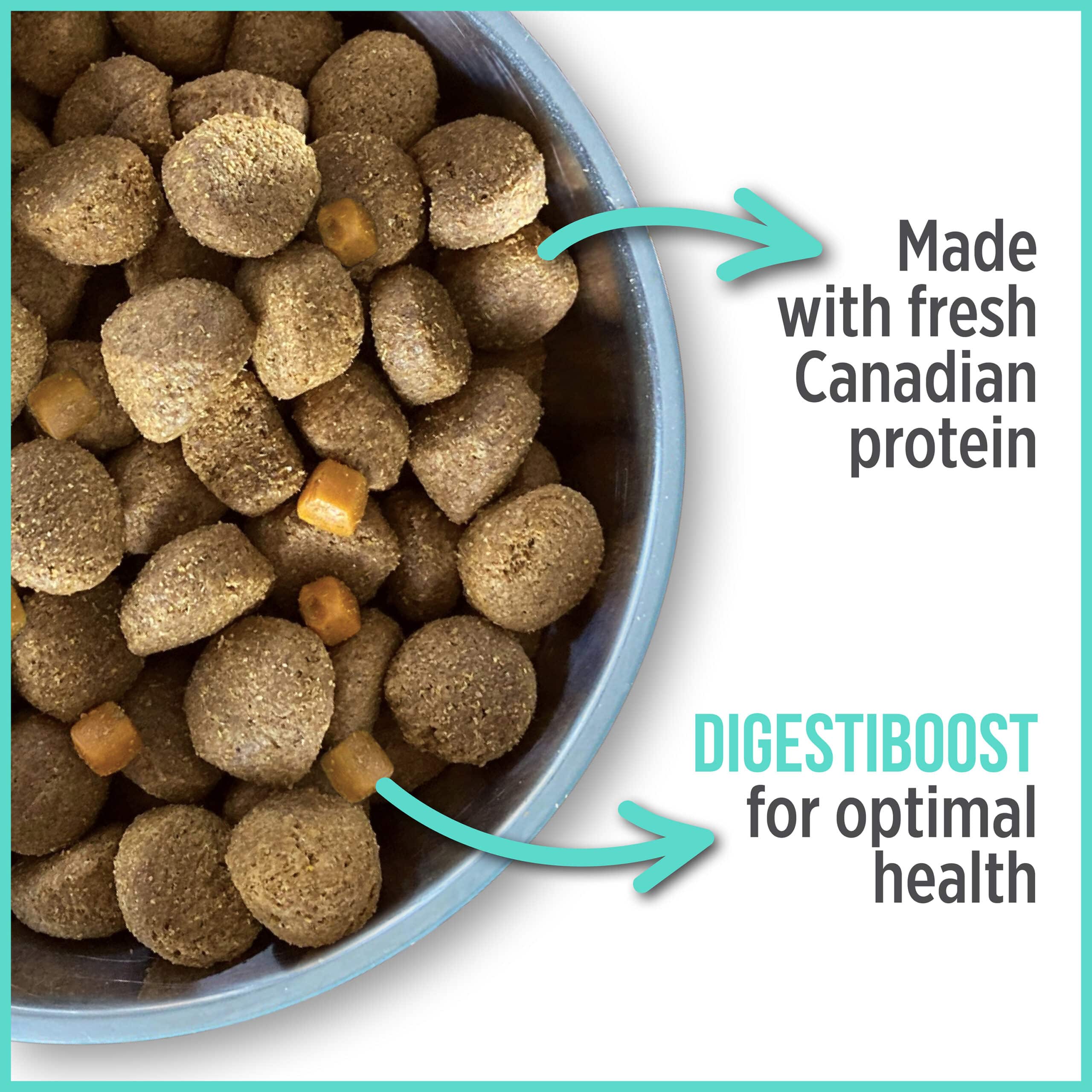 Nutrience Care+ Oral Health Dry Dog Food - Grain-Free Dental Care for Small & Large Breeds - Promotes Fresh Breath & Healthy Teeth - Perfect for Daily Feeding & Dental Maintenance