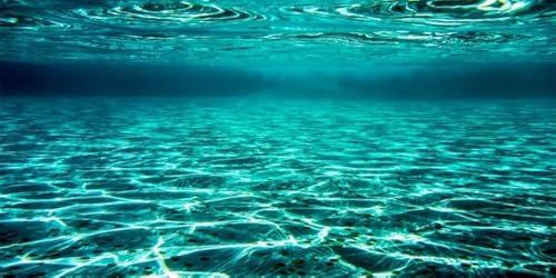 Underwater 4
