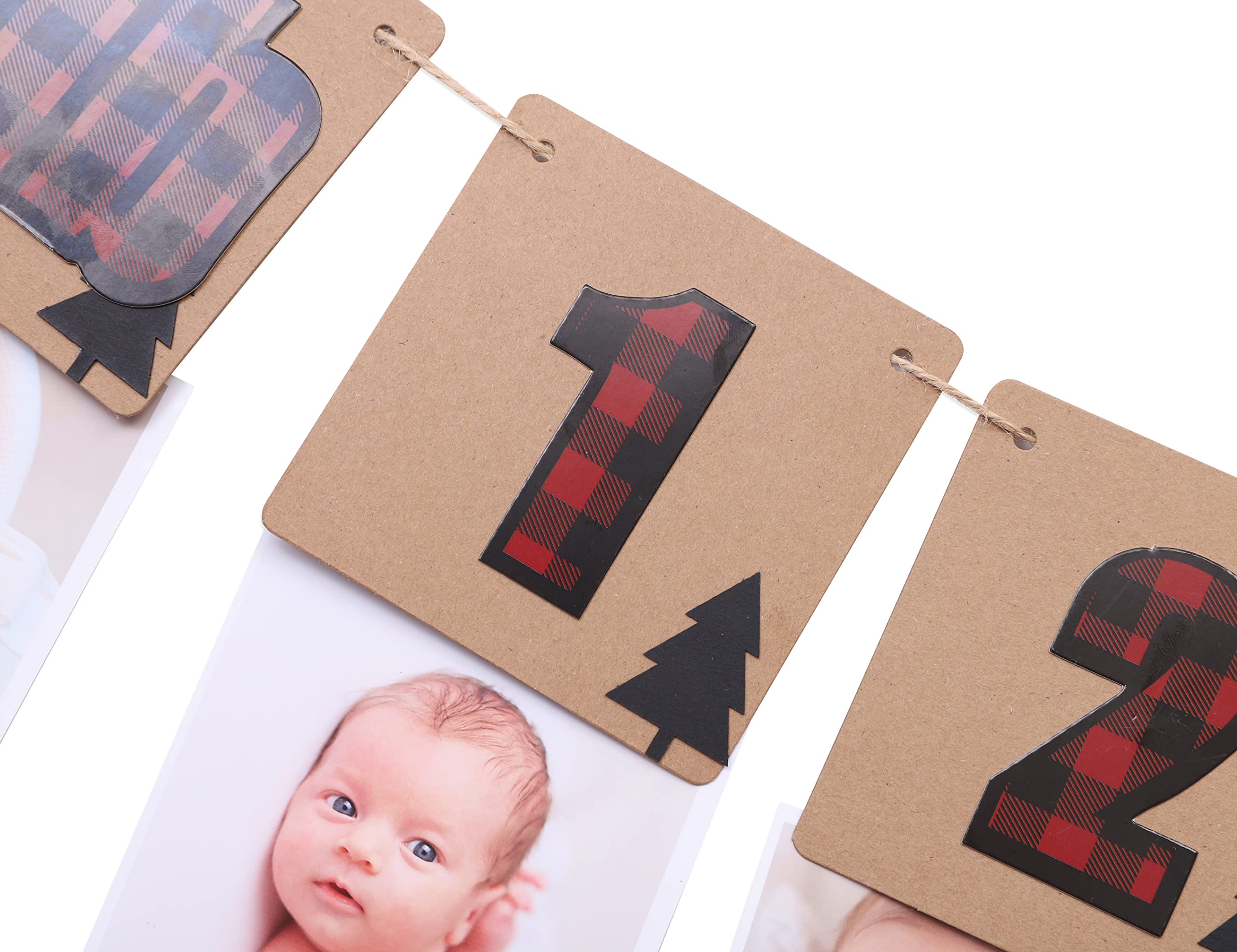Lumberjack 1st Birthday Photo Banner - Woodland Theme 12 Month Milestone Decor for Baby's First Birthday Party, Cake Smash, Photo Props & Nursery Wall Decor
