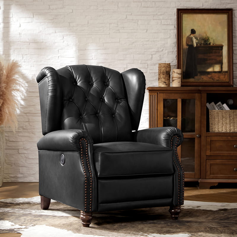 Karelie Genuine Leather Electric Recliner Chair - Power Lift Reclining Sofa with Massage & Heat for Living Room, Home Theater, and Office Relaxation