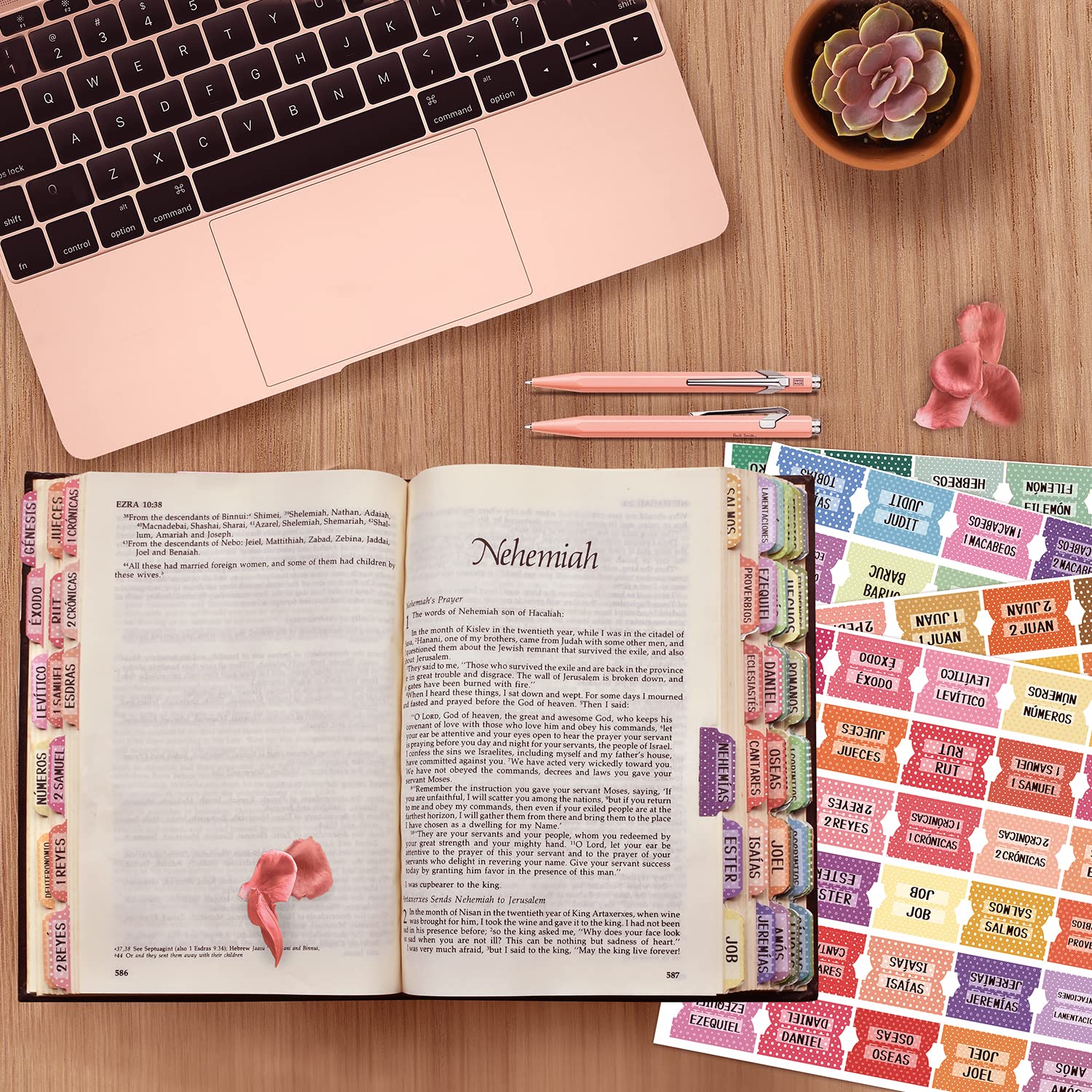 Spanish Catholic Bible Index Tabs Set - 122 Pcs Matte Laminated Floral & Polka Dot Design for Old & New Testament, Perfect for Bible Journaling, Study, and Gift Giving