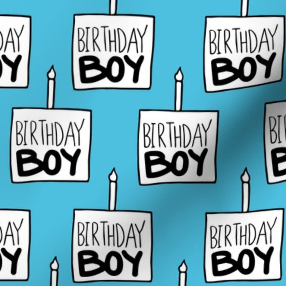 Premium Spoonflower Printed Minky Fabric - Birthday Boy Blue Celebration Cake Candle Design - Soft Plush Fat Quarter for Baby Blankets, Quilt Backing & Sewing Projects | Perfect for Nursery Decor, DIY Gifts & Party Decorations
