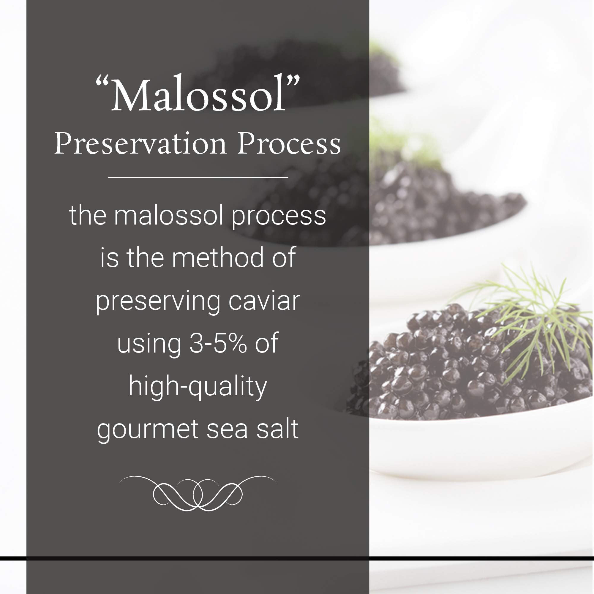 Premium OLMA Kaluga Sturgeon Black Caviar - Large Pearly Grains, Smooth Flavor, Superior Grade - 8.8 oz (250g) - Fast Overnight Shipping - Perfect for Gourmet Dining, Special Occasions & Luxury Gifts