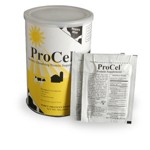 Premium Unflavored Whey Protein Powder - ProCel GH80 (10 oz Can, Case of 6) | Muscle Recovery & Post-Workout Supplement for Athletes & Fitness Enthusiasts