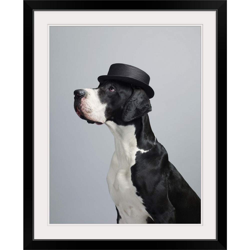 GREATBIGCANVAS Black Framed Wall Art Print - Great Dane Wearing a Hat, 12x16 Inches, Modern Dog Home Decor for Living Room, Bedroom & Office