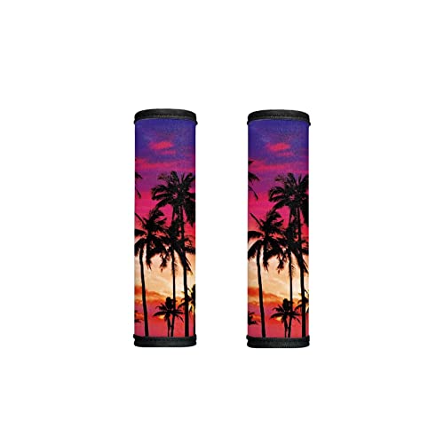 Sunset Palm Tree