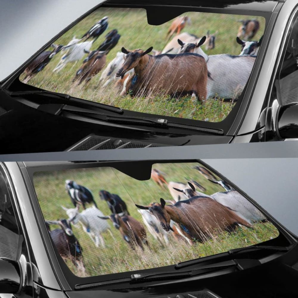 Auto Sun Shades for Car Windows - Universal Fit UV Protection & Heat Blocking - Perfect for Parking, Travel, and Outdoor Activities