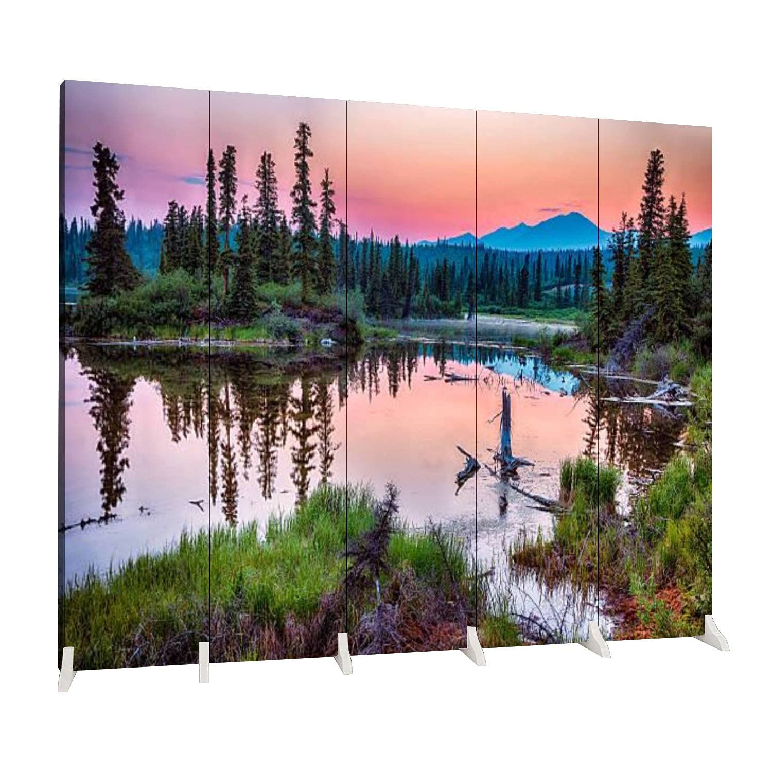 Dola-Dola 5 Panel Folding Room Divider - Canvas Privacy Screen for Indoor/Outdoor Use - Freestanding Partition for Home, Office, or Event Spaces - Perfect for Creating Private Areas in Living Rooms, Bedrooms, or Gardens