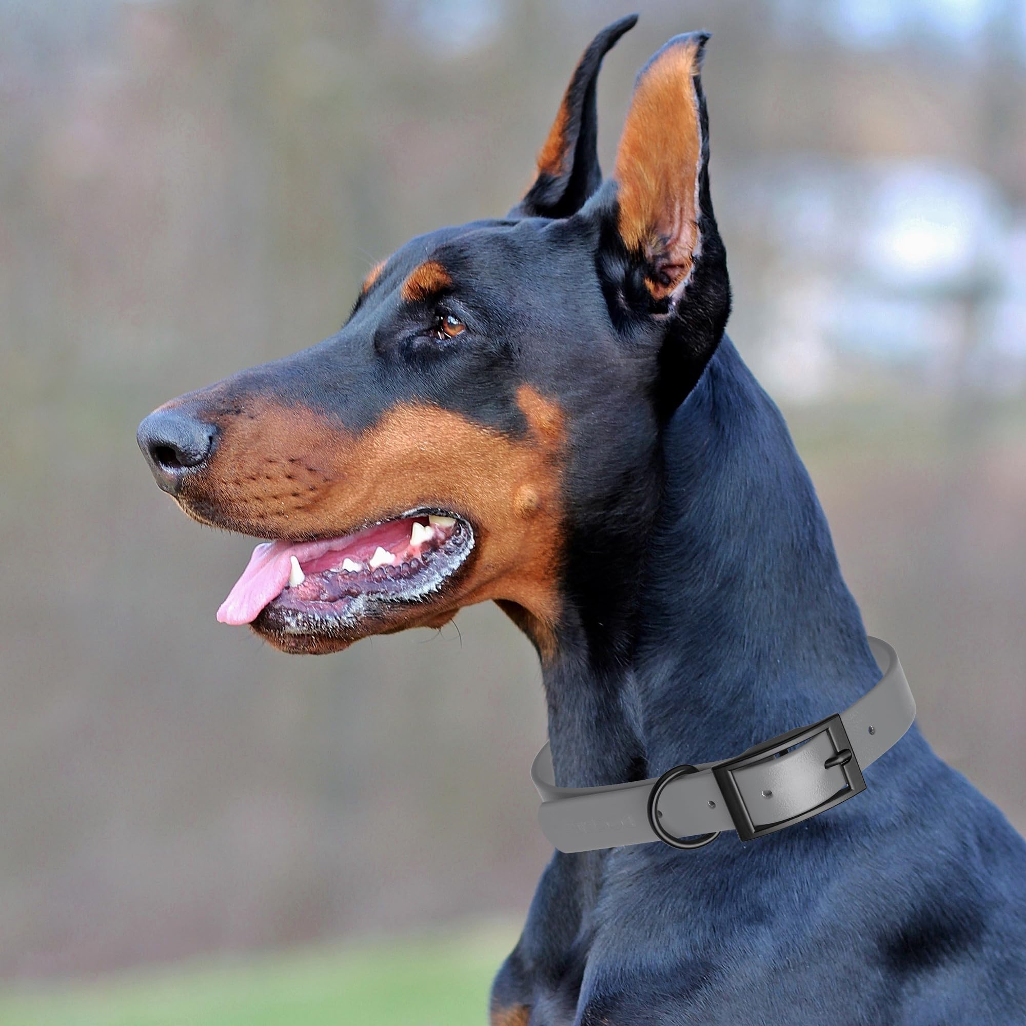 Premium Waterproof Biothane Dog Collar - Strong Coated Nylon Webbing with Black Hardware | Odor-Proof, Easy to Clean & Durable | Fits Small, Medium & Large Dogs (Battleship Gray) | Perfect for Outdoor Adventures, Swimming & Daily Walks