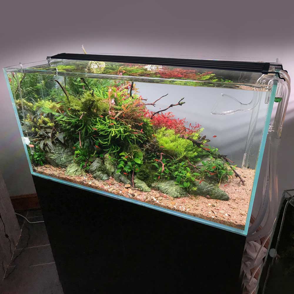 AquaBasik LED Aquarium Light for Plants & Reef - Full Spectrum RGBW Lighting System - Perfect for 44-55 Gallon Fish Tanks (Ideal for Freshwater & Saltwater Aquariums, Coral Growth & Planted Tanks)