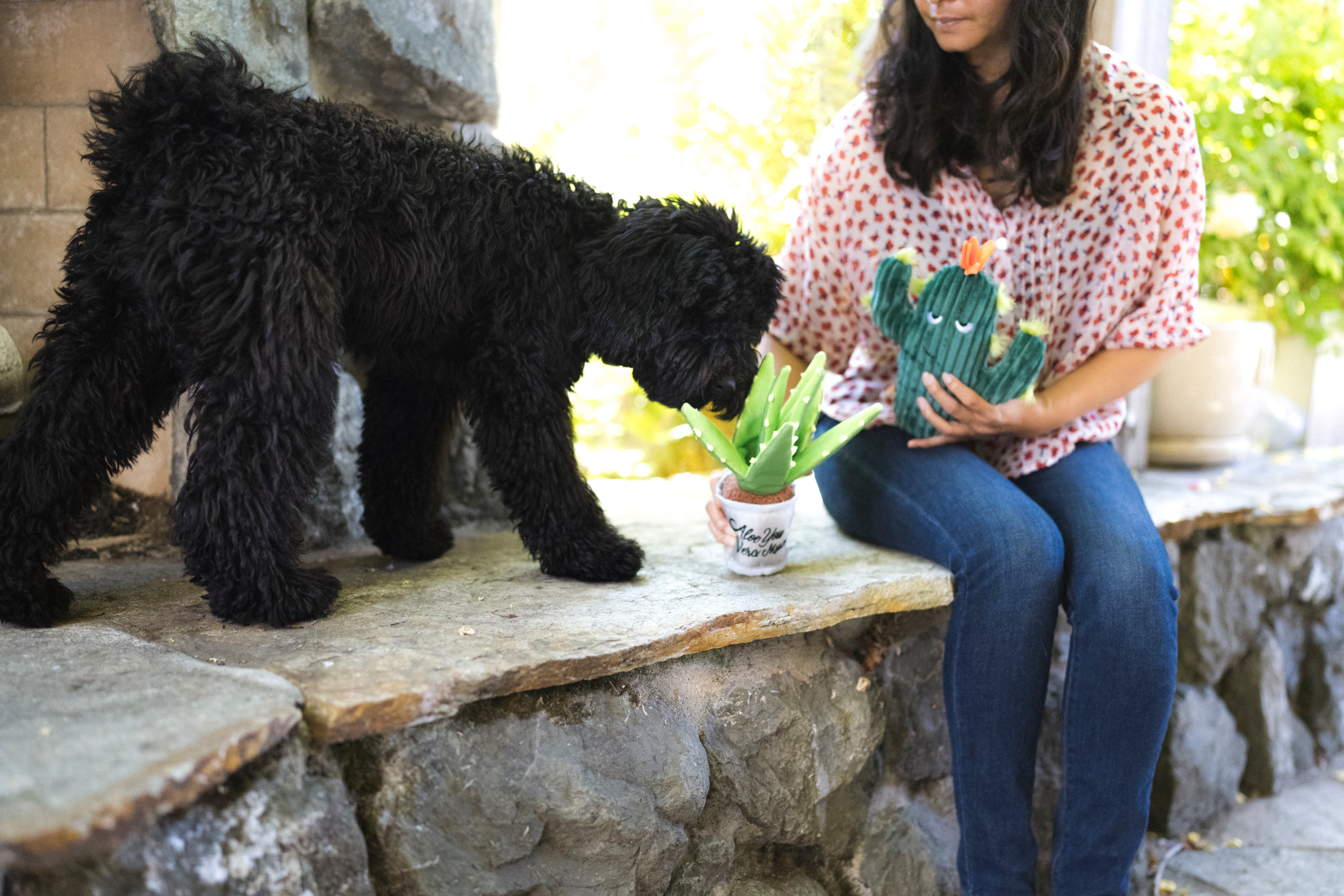 La Planta Aloe ve You Dog Plush Toy - Blooming Buddies™ Chew-Resistant Squeaky Stuffed Animal for Puppies & Dogs | Pet P.L.A.Y. | Perfect for Indoor Play, Training Rewards & Anxiety Relief