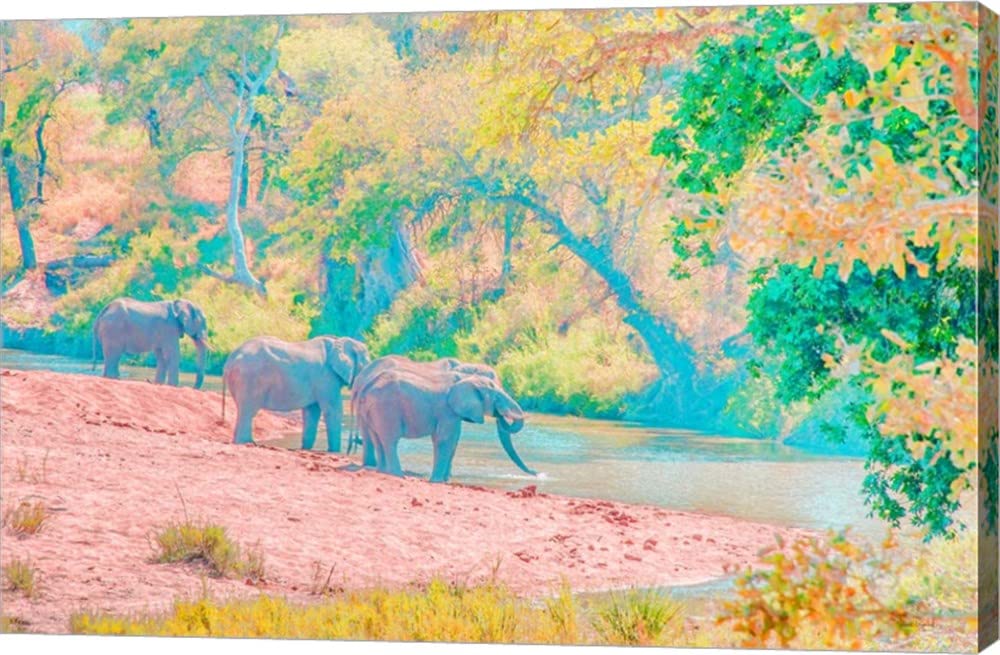 Ramona Murdock Waterhole Rendezvous I Canvas Art - 24x16 Inch Gallery Wrapped Wall Painting - Perfect for Living Room, Bedroom & Office Decor
