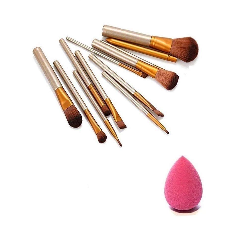 Premium 12-Piece Silver Makeup Brush Set with Pink Blender Sponge - Professional Cosmetic Brushes for Women & Girls - Perfect for Foundation, Contouring & Eyeshadow Application