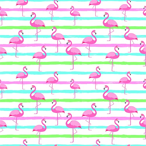 Flamingos