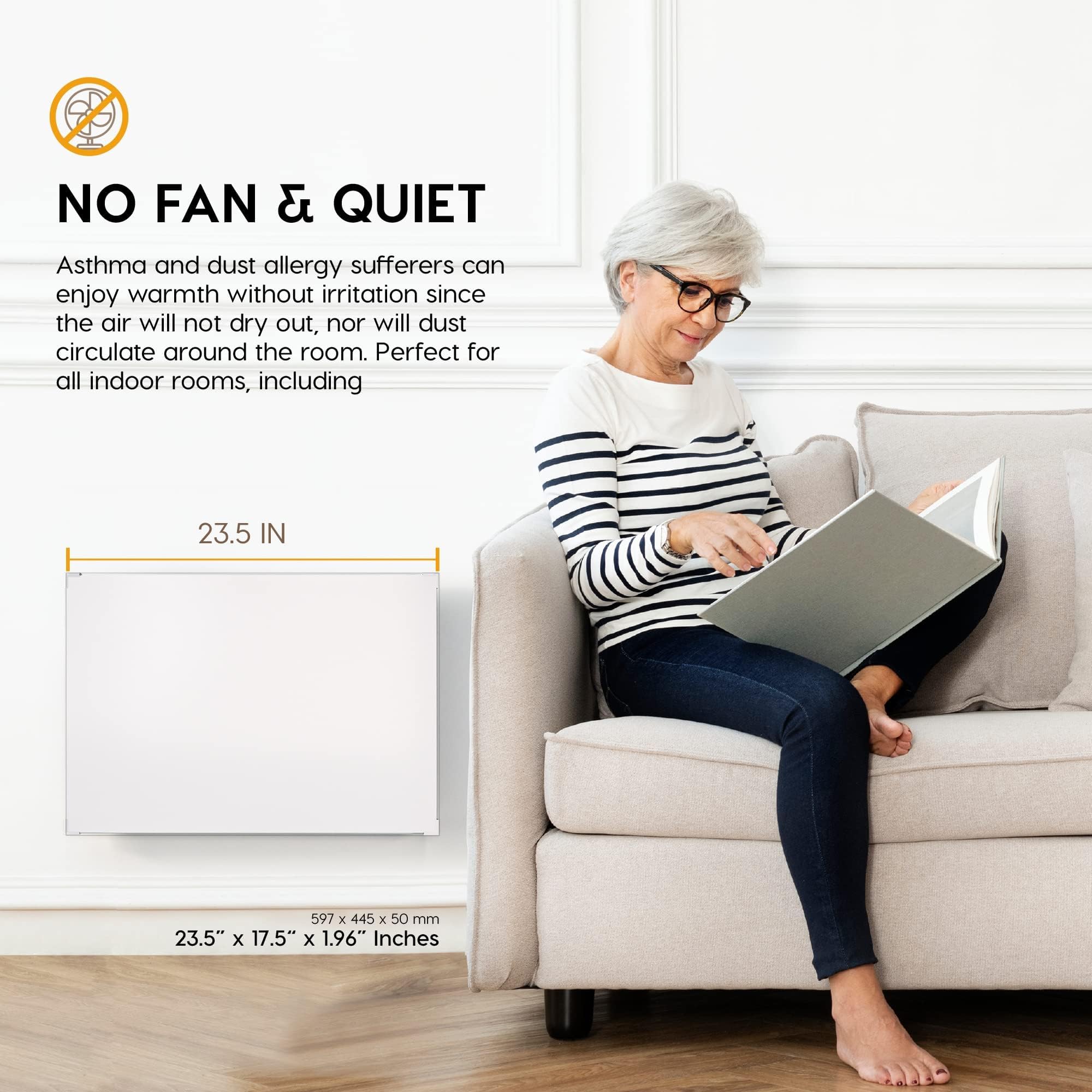 EconoHome 250W Wall Mount Electric Space Heater with Thermostat - Splashproof Convection Panel Heater with Heat Guard - 120V for 100 Sq Ft Rooms & Bathrooms - Perfect for Bedroom, Office, or Small Spaces - Updated Model