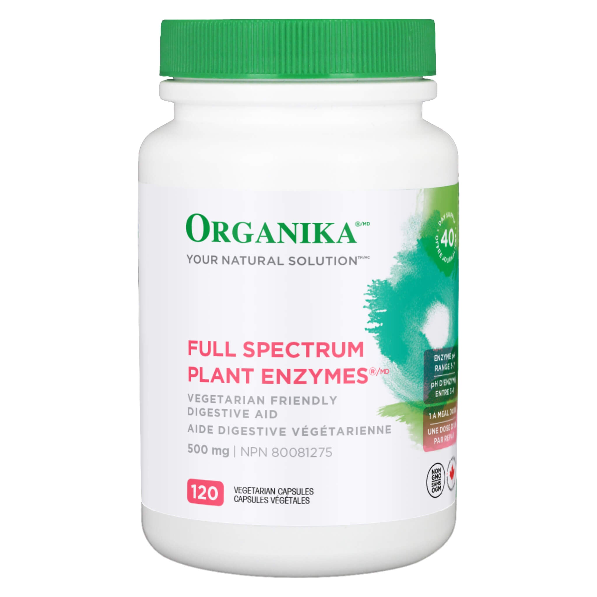 Premium Full Spectrum Plant Enzymes Supplement for Digestion & Gut Health - Supports Nutrient Absorption & Metabolism - Ideal for Vegan & Vegetarian Diets