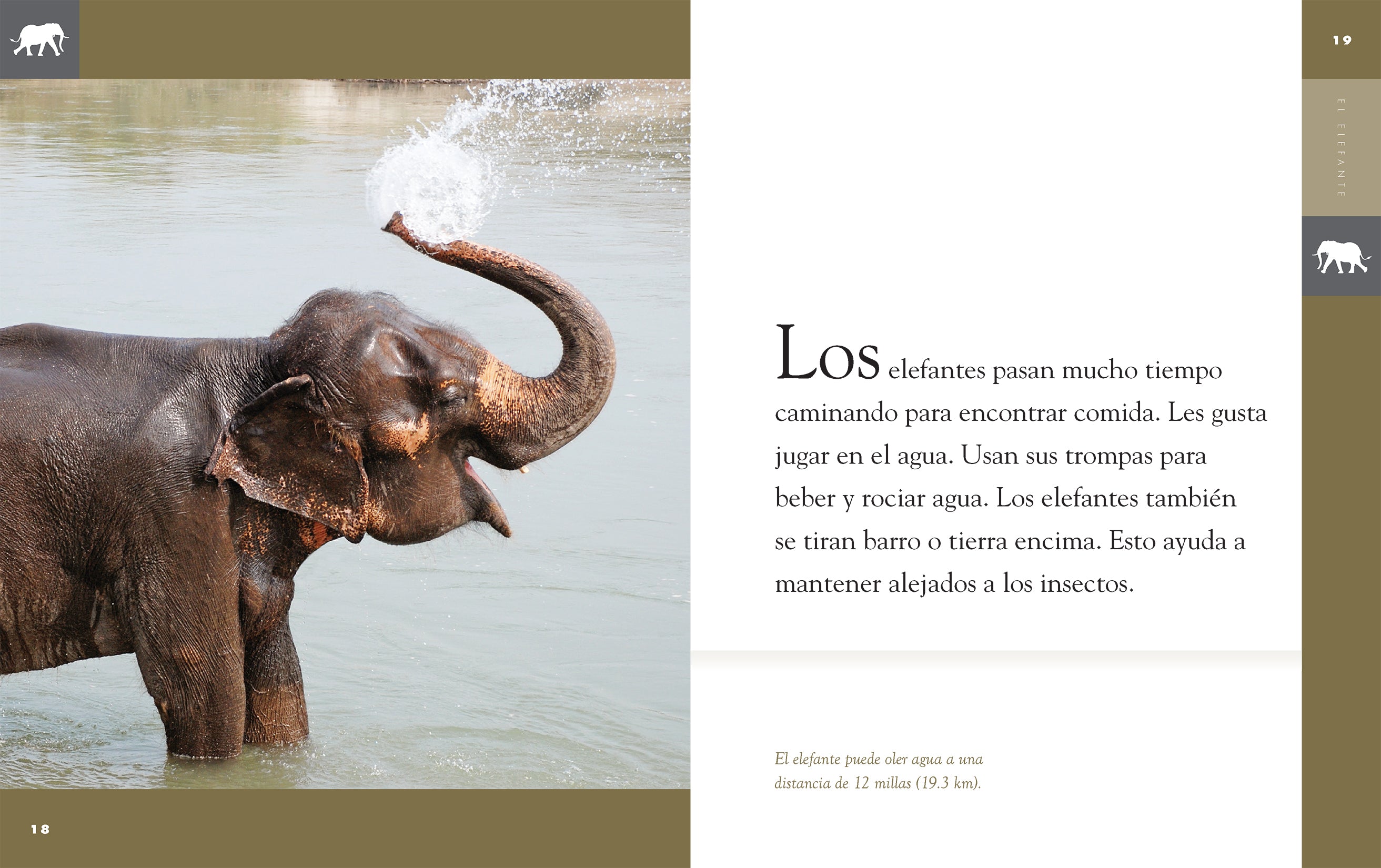 El Elefante 9781640264656 - Elephant Book for Kids, Wildlife Education & Animal Facts | Perfect for Classroom Learning & Bedtime Stories