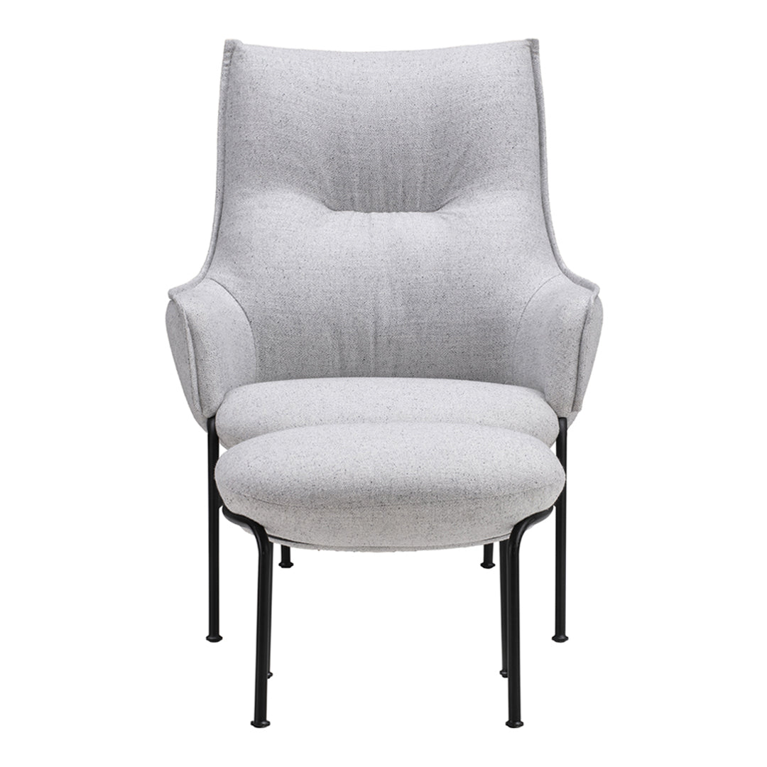 Premium Aloe Lounge Chair - Comfortable & Stylish Indoor/Outdoor Relaxation - Perfect for Patio, Garden, or Living Room