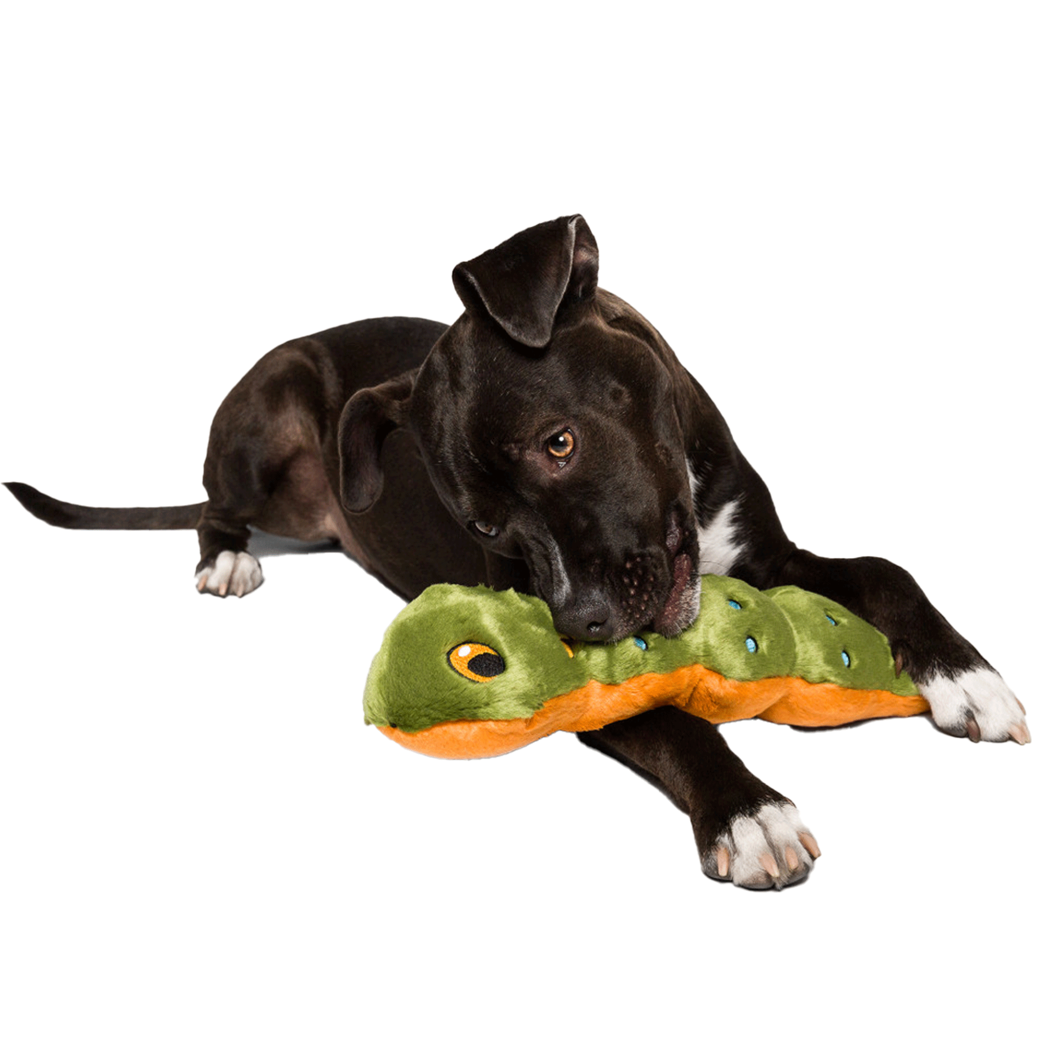 Fluff & Tuff Katie Caterpillar Green Dog Toy - Durable Chew-Resistant Plush for Small & Medium Dogs - Perfect for Indoor Play, Outdoor Fetch & Training Rewards