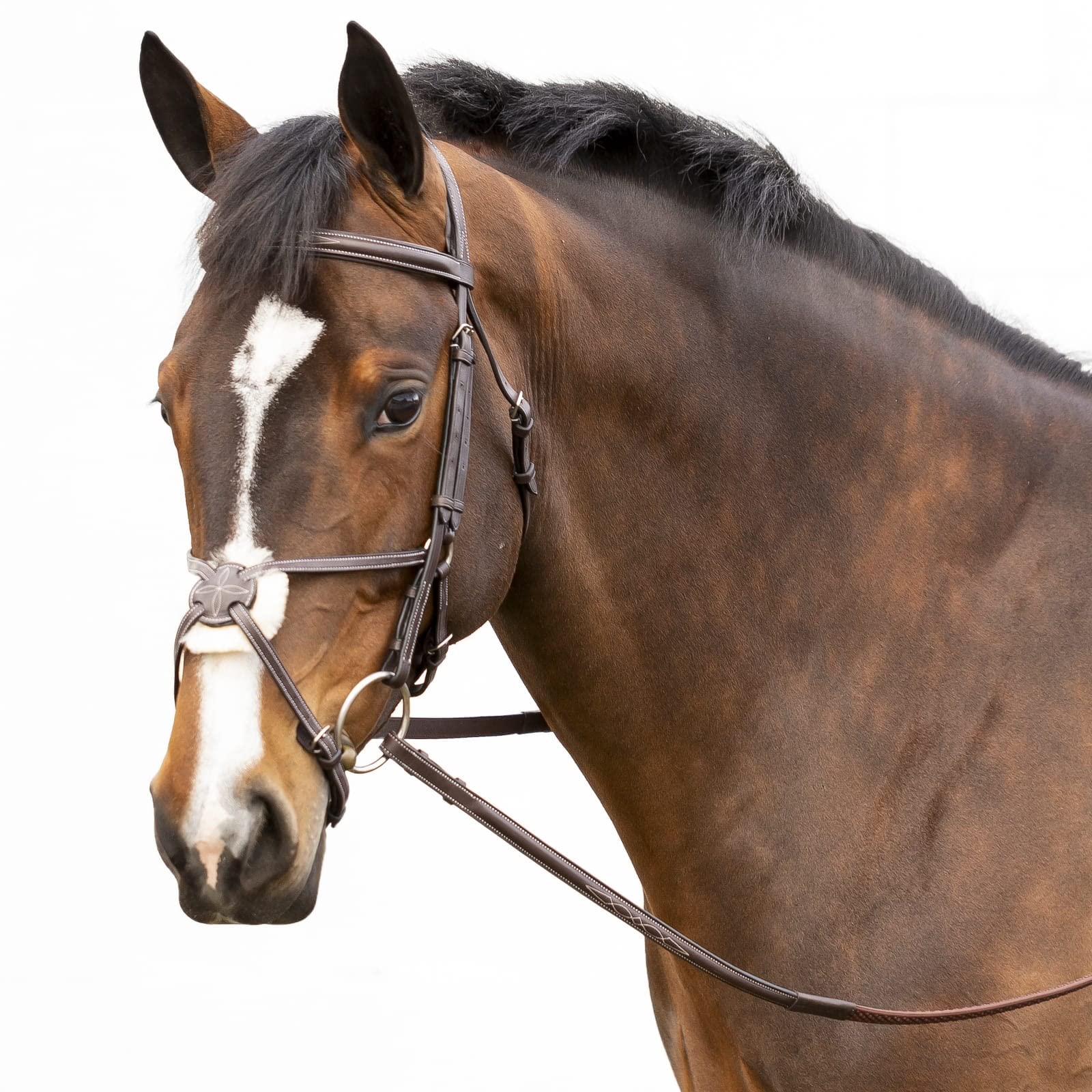 Equinavia Valkyrie Fancy Stitched Padded Figure 8 Bridle with Reins - Premium Equestrian Horse Riding Gear for Dressage & Show Jumping | Comfortable & Stylish Design for Competition & Training