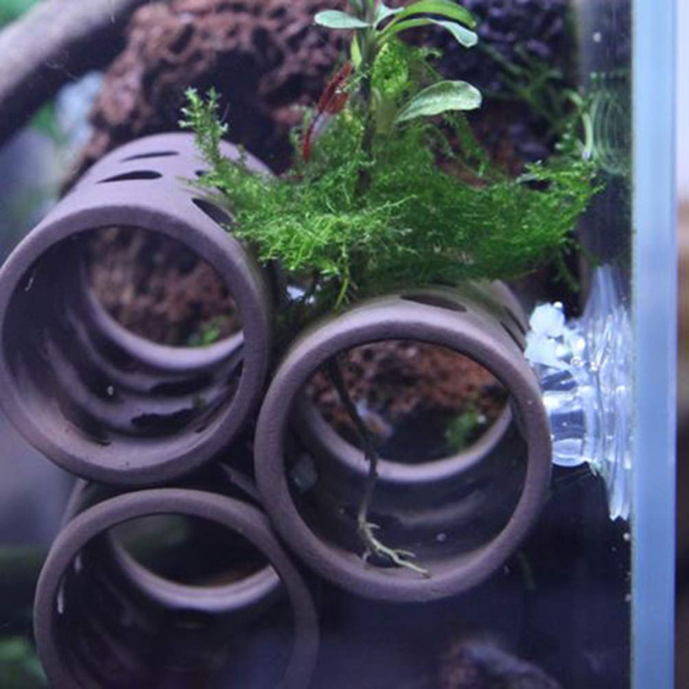 8-Piece Aquarium Suction Cup Clips with Zip Cable Ties - Secure Shrimp Nest & Fish Tank Accessories | Durable Underwater Hooks for Aquascaping, Plant Anchoring & Decoration | Perfect for Freshwater & Saltwater Tanks