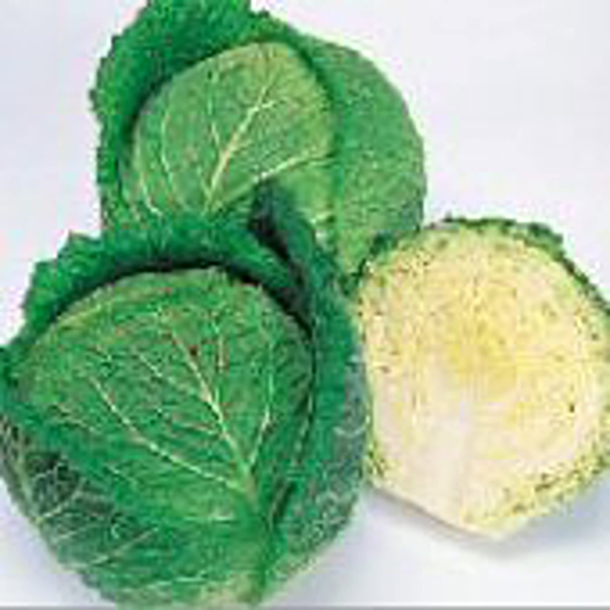 Savoy Ace Cabbage Seeds (20+ Seeds) - Non-GMO Vegetable Seeds for Planting | Home Garden, Greenhouse & Outdoor Growing | Fresh Salad & Coleslaw Ingredient