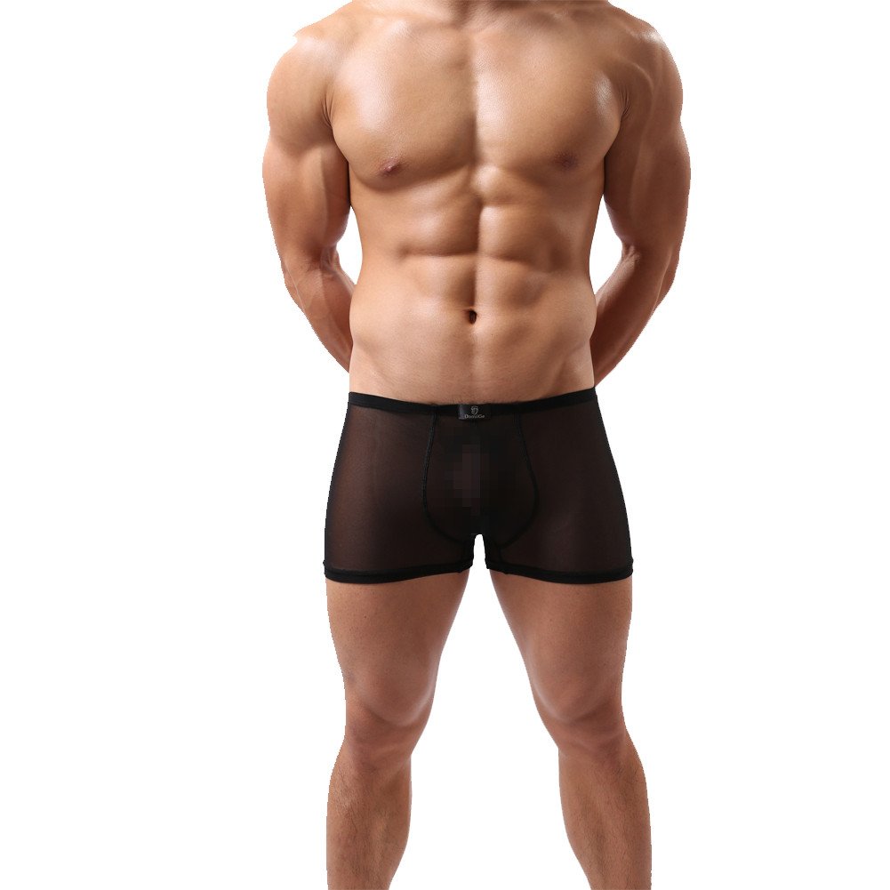 DomiGe Sheer Mesh Boxer Briefs for Men - Soft Breathable Underwear with Comfortable Waistband - Perfect for Daily Wear, Gym & Sports Activities