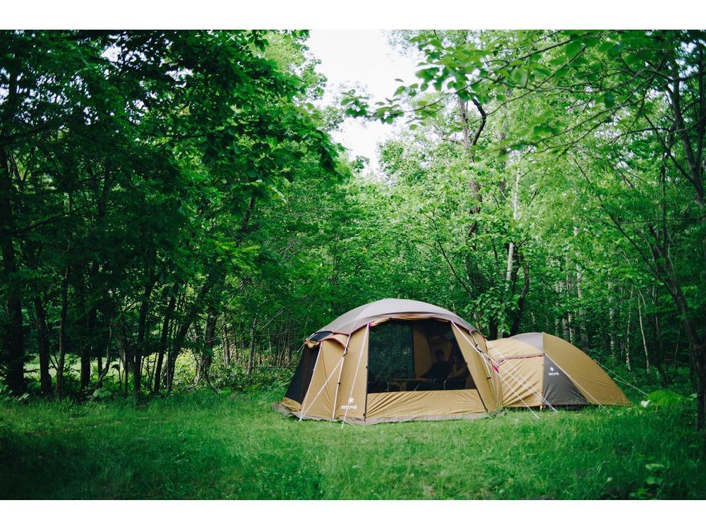 Outdoor Mesh Shelter Tent - Lightweight Portable Bug Net for Camping, Hiking & Backpacking - Perfect for Picnics, Beach Trips & Backyard Use