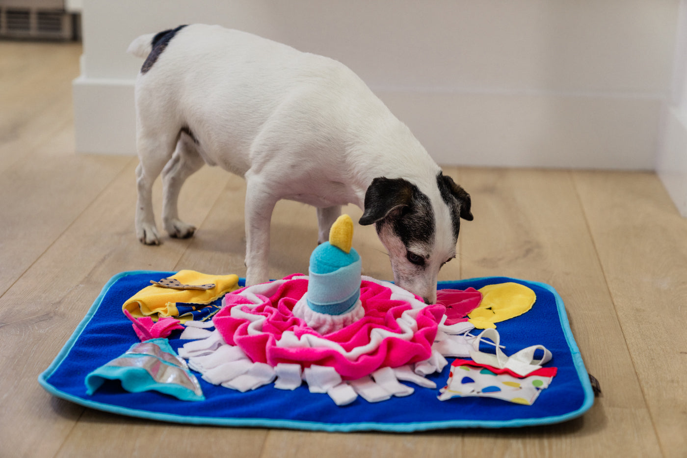Woof Day Celebration Scented Dog Mat | Pet P.L.A.Y. - Perfect for Dog Training, Anxiety Relief & Home Decor