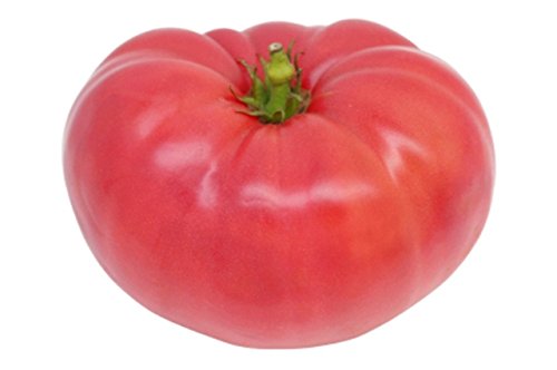 Ponderosa Pink Heirloom Tomato Seeds - Non-GMO, Bulk 2,000 Seeds for Home Gardening & Organic Farming - Perfect for Canning, Sauces & Fresh Salads by Seed Kingdom