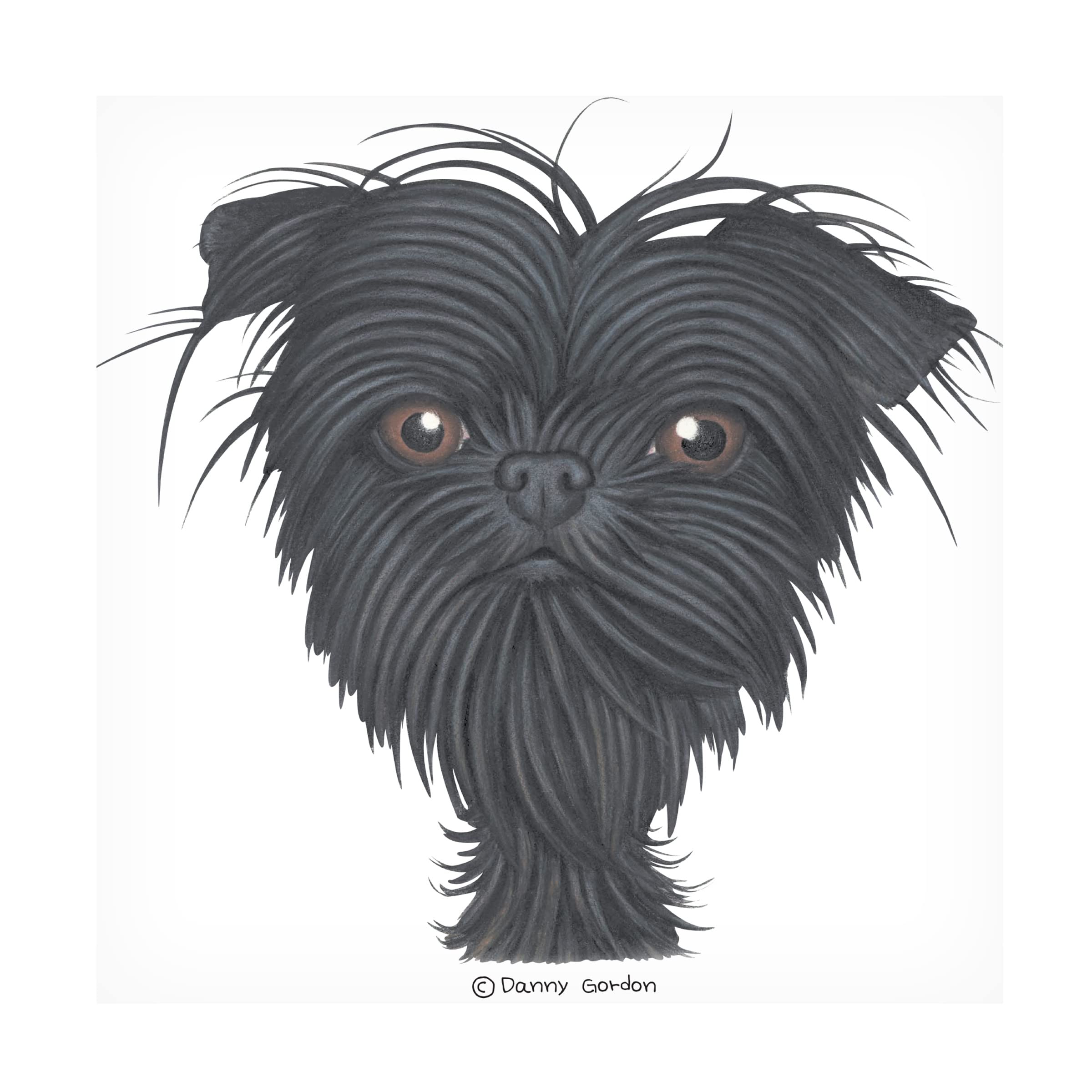 Trademark Fine Art 'Affenpinscher Bust' Canvas Art Print by Danny Gordon - Dog Lover Gift, Home Decor for Living Room, Bedroom & Office