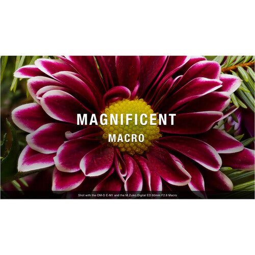 OM SYSTEM M.Zuiko Digital ED 60mm f/2.8 Macro Lens for Micro Four Thirds Cameras - Perfect for Close-Up Photography, Jewelry, Flowers & Insect Shooting