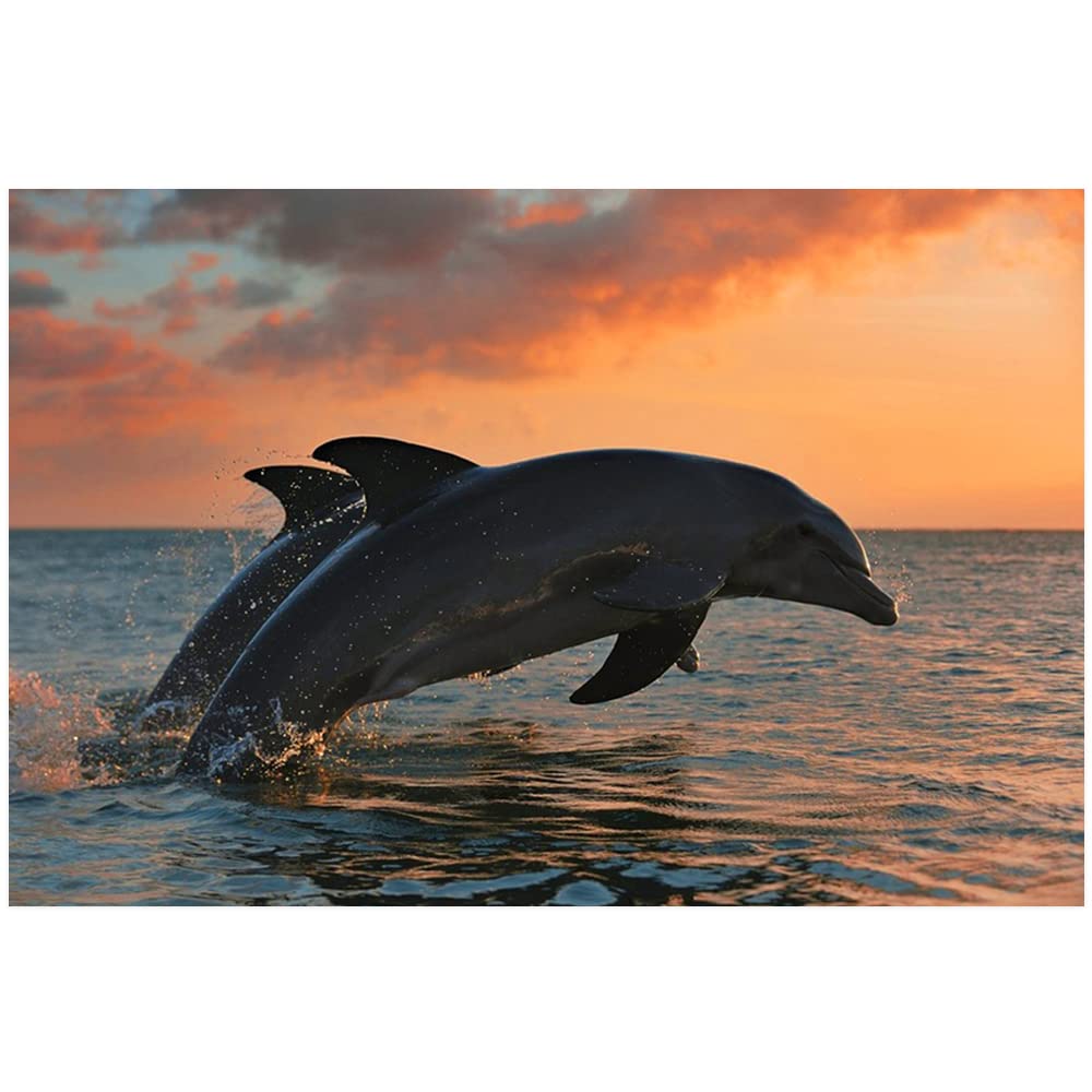 Dolphin Jumping Canvas Wall Art - Modern Abstract Oil Painting Print, Unframed 08x12 inch - Perfect for Living Room, Bedroom & Home Office Decor | Ocean Theme Wall Decor | Gift for Animal Lovers